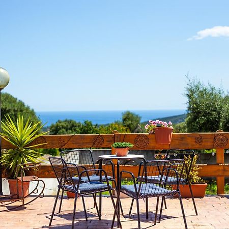 Agriturismo Paulesa Доргали Экстерьер фото
